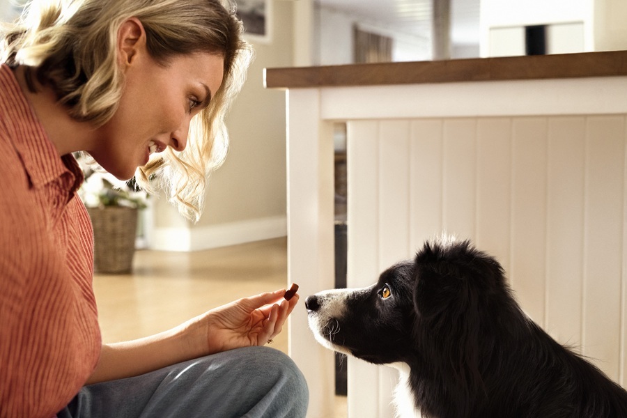 Oralna zaščita Frontpro