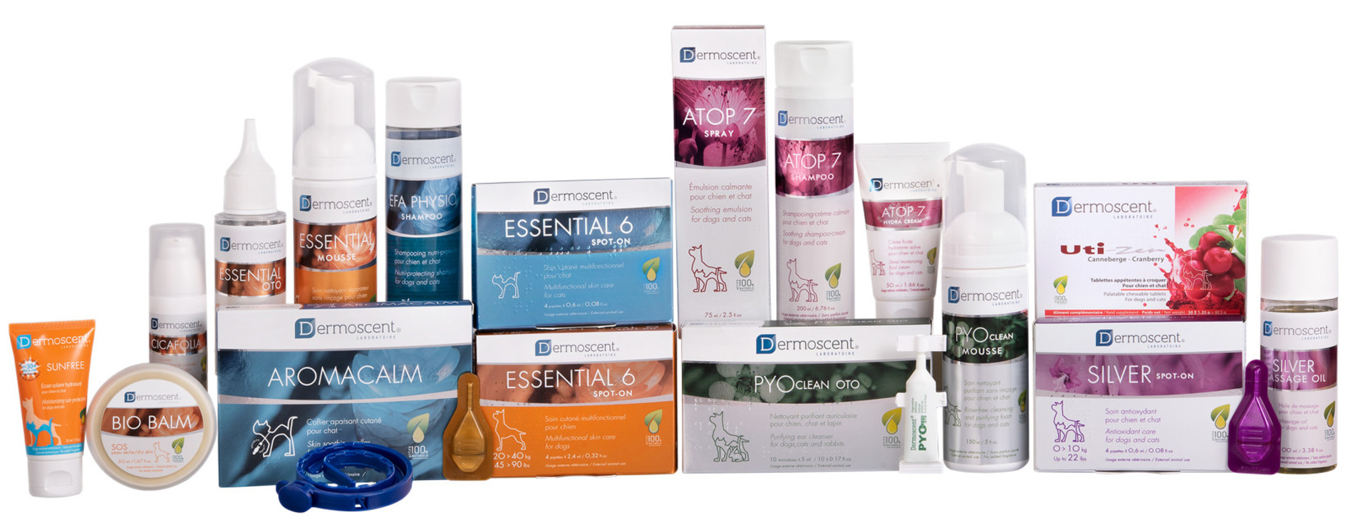 dermoscent/X-Group-image-Dermoscent-2019-MD-1