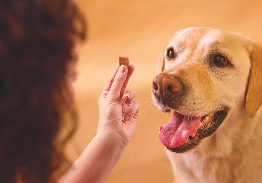 FRONTPRO® je del družine izdelkov FRONTLINE® 