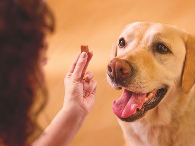 FRONTPRO® je del družine izdelkov FRONTLINE® 