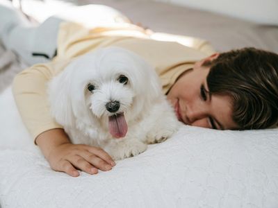 Srčna glista pri psih: zaščita je nujna tudi jeseni