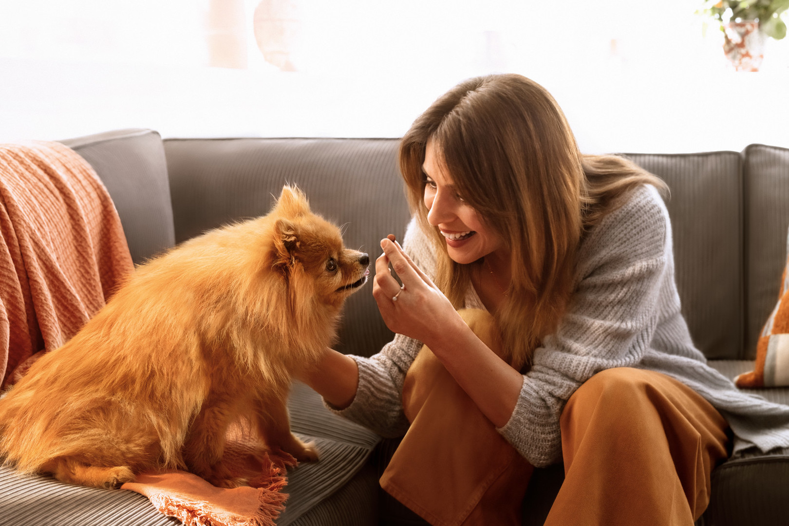 FRONTPRO zaščita pred bolhami in klopi pri psu