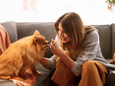 FRONTPRO zaščita pred bolhami in klopi pri psu